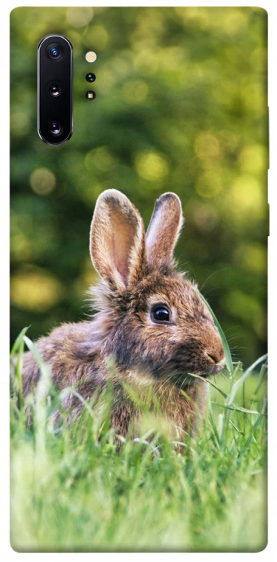 Чехол на Samsung Galaxy Note 10 Plus Кролики фото 1 из 1