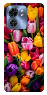 Чохол на Motorola Edge 40 Flowers v30 фото 1 з 1
