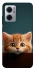 Чехол на Xiaomi Redmi Note 11E Чехол Котёнок фото 1 из 1