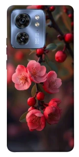 Чехол на Motorola Edge 40 Flowers v28 фото 1 из 1