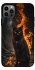 Чехол на Apple iPhone 12 Pro (6.1") Огненный кот фото 1 из 1