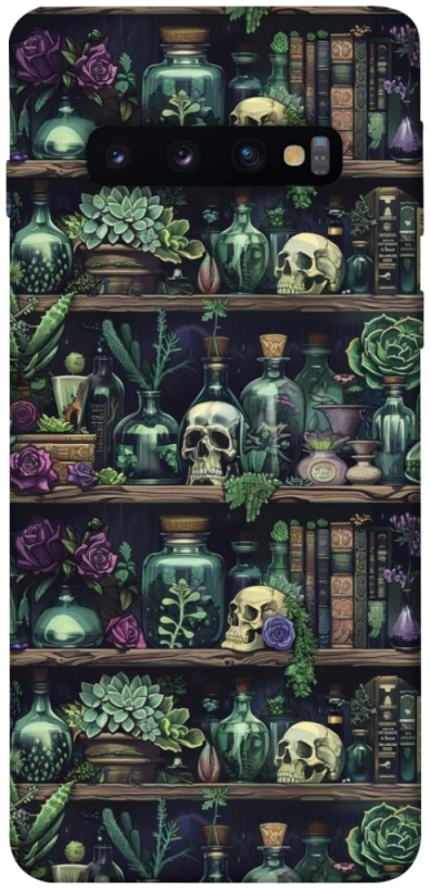 Чохол на Samsung Galaxy S10 Bookshelf ver.1 фото 1 з 1