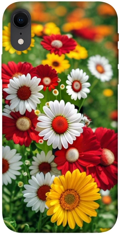 Чохол на Apple iPhone XR (6.1") Flowers v11 фото 1 з 1