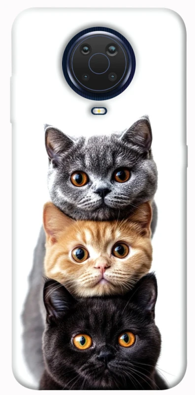 Чохол на Nokia G20 / G10 / 6.3 Гарні котики фото 1 з 1