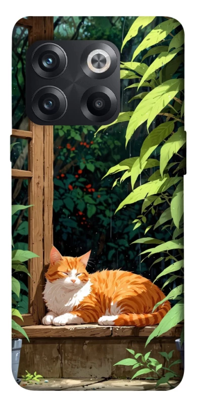 Чохол на OnePlus 10T red cat фото 1 з 1