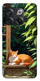 Чехол на OnePlus 10T red cat фото 1 из 1