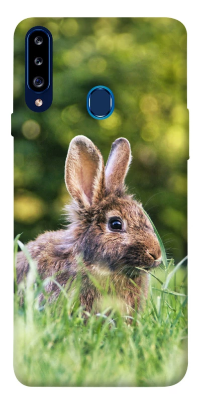 Чехол на Samsung Galaxy A20s Кролики фото 1 из 1