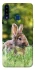 Чехол на Samsung Galaxy A20s Кролики фото 1 из 1