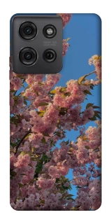 Чехол на Motorola Moto G75 Flowers v4 фото 1 из 1