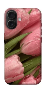 Чехол на Apple iPhone 16 Beauty фото 1 из 1