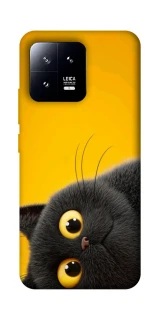 Чехол на Xiaomi 13 This is Cat фото 1 из 1