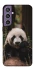 Чехол на Samsung Galaxy S23 FE Панда фото 1 из 1