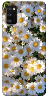 Чохол на Samsung Galaxy A41 Поле ромашок фото 1 з 1