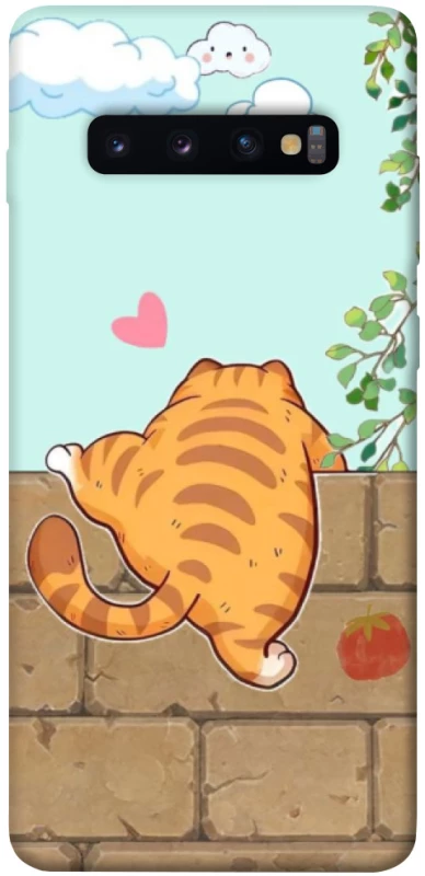 Чохол на Samsung Galaxy S10+ Cat the meow фото 1 з 1
