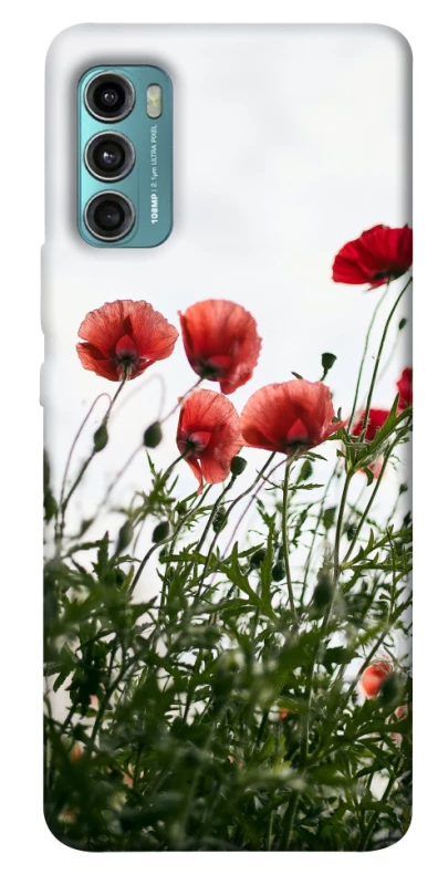 Чехол на Motorola Moto G60 Поле маков фото 1 из 1