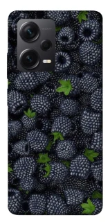 Чохол на Xiaomi Redmi Note 12 Pro 5G Fresh фото 1 з 1