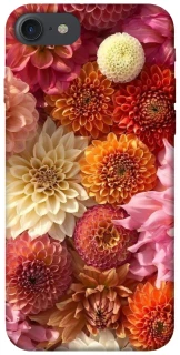 Чохол на Apple iPhone 7 / 8 (4.7") Bouquet фото 1 з 1