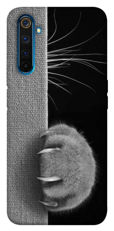 Чехол на Realme 6 Pro Spy Cat фото 1 из 1