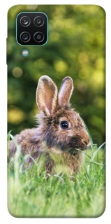 Чохол на Samsung Galaxy M12 Кролики фото 1 з 1