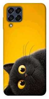 Чохол на Samsung Galaxy M33 5G This is Cat фото 1 з 1