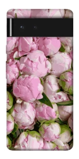 Чохол на Google Pixel 6 Nature’s Elegance фото 1 з 1