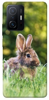 Чехол на Xiaomi 11T / 11T Pro Кролики фото 1 из 1