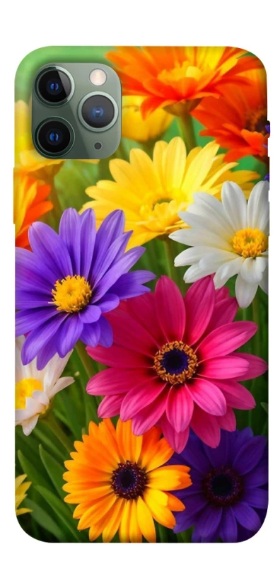 Чехол на Apple iPhone 11 Pro (5.8") Flowers v32 фото 1 из 1