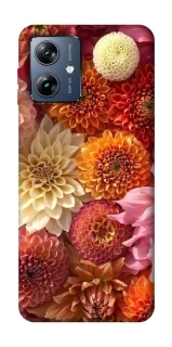 Чохол на Motorola Moto G54 Power Bouquet фото 1 з 1