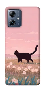 Чохол на Motorola Moto G54 Power cat on a field фото 1 з 1