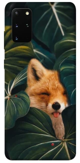 Чехол на Samsung Galaxy S20+ Fox фото 1 из 1