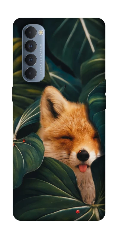 Чохол на Oppo Reno 4 Pro Fox фото 1 з 1