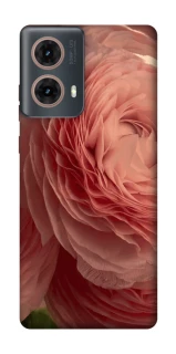 Чохол на Motorola Moto G85 Elegance фото 1 з 1