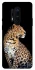Чохол на OnePlus 8 Pro Leopard v2 фото 1 з 1