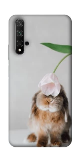 Чохол на Huawei Honor 20 / Nova 5T Bunny фото 1 з 1