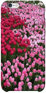 Чехол на Apple iPhone 6/6s plus (5.5") Flowers v9 фото 1 из 1