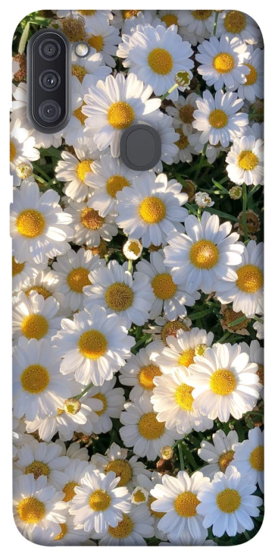 Чехол на Samsung Galaxy A11 Поле ромашек фото 1 из 1