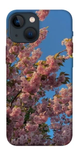 Чохол на Apple iPhone 13 mini (5.4") Flowers v4 фото 1 з 1