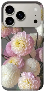 Чохол на Apple iPhone 17 Pro (6.3") Flowers v2 фото 1 з 1