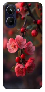 Чехол на Realme 10 4G Flowers v28 фото 1 из 1