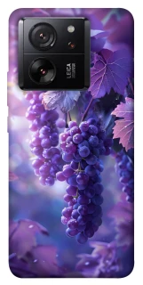 Чохол на Xiaomi 13T Pro Bunch of grapes фото 1 з 1