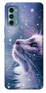 Чехол на Motorola Moto G60 Snow cat фото 1 из 1