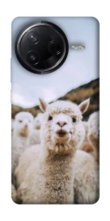 Чохол на Infinix Note 50 Pro Лама фото 1 з 1