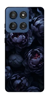 Чохол на Motorola Edge 60 Stylus Sunny Snowdrops фото 1 з 1