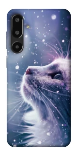 Чехол на Samsung Galaxy F16 Snow cat фото 1 из 1