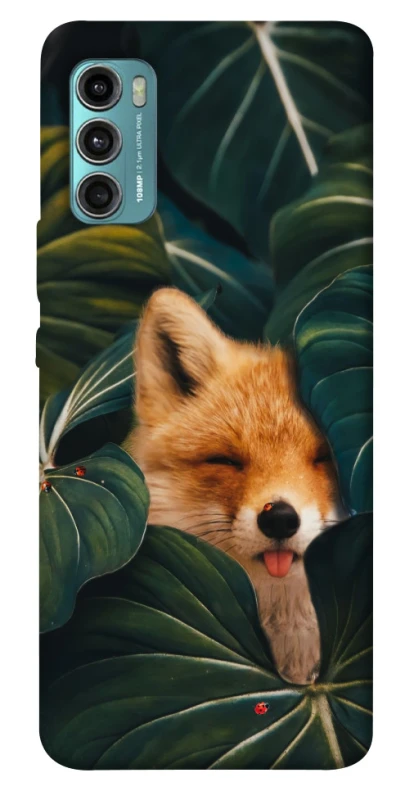 Чохол на Motorola Moto G60 Fox фото 1 з 1
