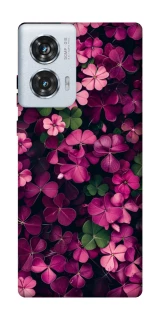 Чехол на Motorola Edge 50 Fusion Flowers v7 фото 1 из 1