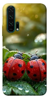 Чехол на Huawei Honor 20 Pro Flowers v23 фото 1 из 1