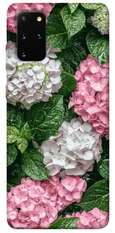 Чехол на Samsung Galaxy S20+ Secret Garden фото 1 из 1