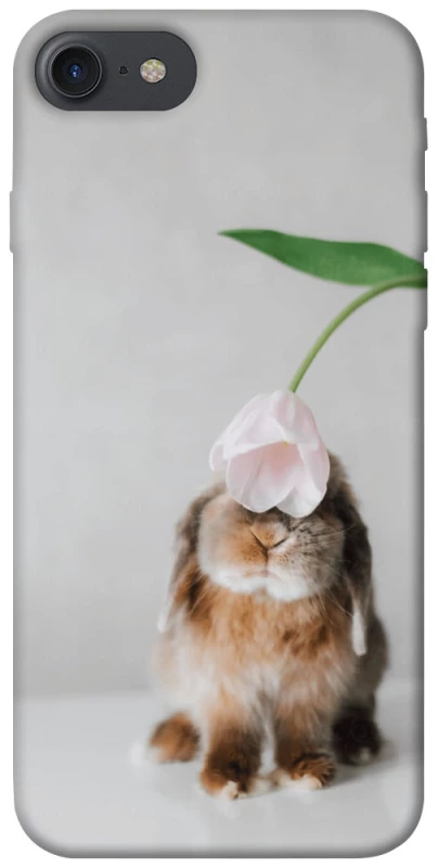 Чохол на Apple iPhone 7 / 8 (4.7") Bunny фото 1 з 1