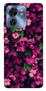 Чехол на Motorola Edge 40 Flowers v7 фото 1 из 1